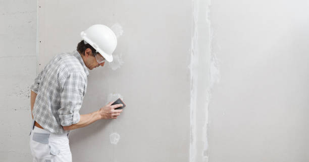Best Real Estate Mold Inspection  in Deadwood, SD