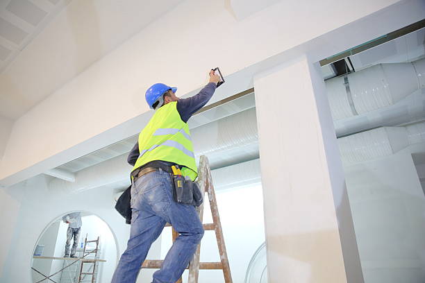 Best Emergency Mold Remediation  in Deadwood, SD
